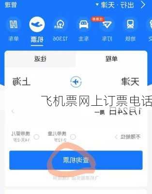 飞机票网上订票电话-第3张图片-欧景旅游网