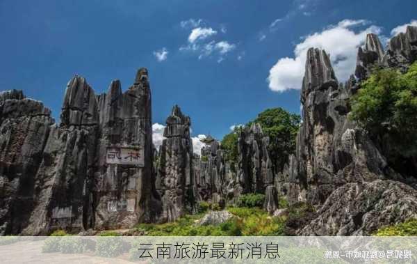 云南旅游最新消息-第1张图片-欧景旅游网