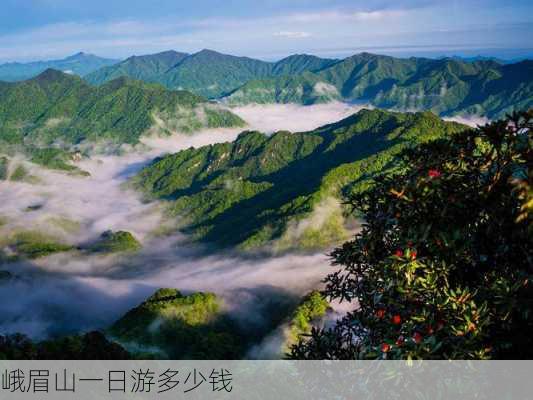 峨眉山一日游多少钱-第1张图片-欧景旅游网