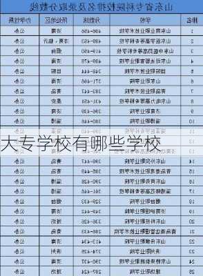 大专学校有哪些学校-第2张图片-欧景旅游网