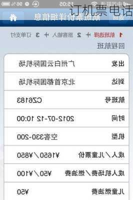 订机票电话-第3张图片-欧景旅游网
