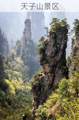 天子山景区-第2张图片-欧景旅游网