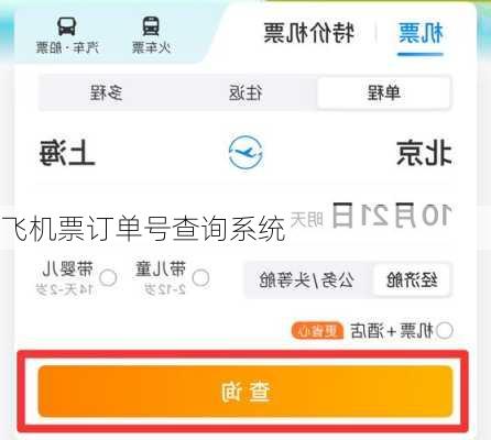 飞机票订单号查询系统-第3张图片-欧景旅游网