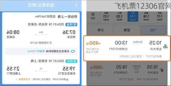 飞机票12306官网-第3张图片-欧景旅游网
