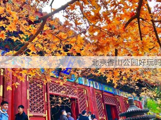 北京香山公园好玩吗-第3张图片-欧景旅游网