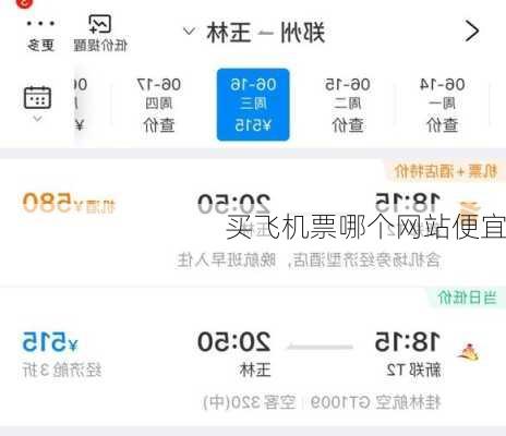 买飞机票哪个网站便宜-第2张图片-欧景旅游网