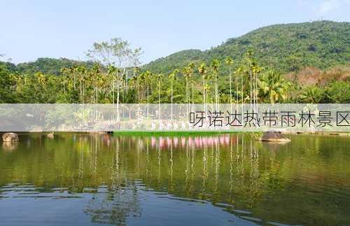 呀诺达热带雨林景区-第3张图片-欧景旅游网