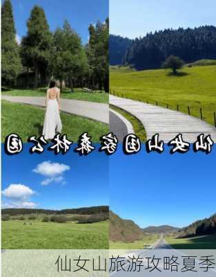 仙女山旅游攻略夏季-第1张图片-欧景旅游网