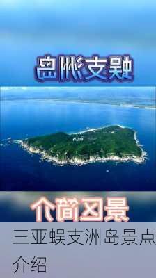 三亚蜈支洲岛景点介绍-第1张图片-欧景旅游网