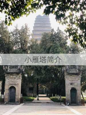 小雁塔简介-第3张图片-欧景旅游网