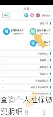 查询个人社保缴费明细-第2张图片-欧景旅游网