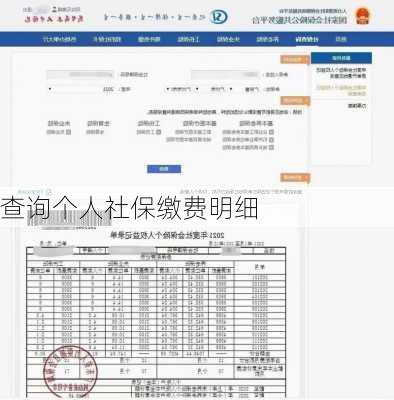 查询个人社保缴费明细-第1张图片-欧景旅游网