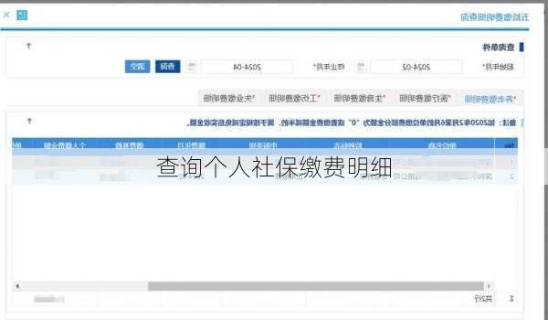查询个人社保缴费明细-第3张图片-欧景旅游网