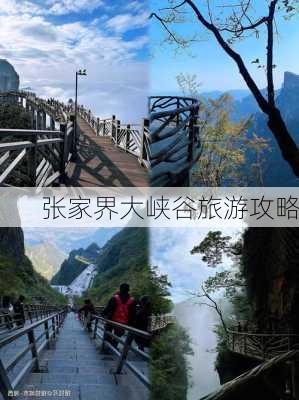 张家界大峡谷旅游攻略-第1张图片-欧景旅游网