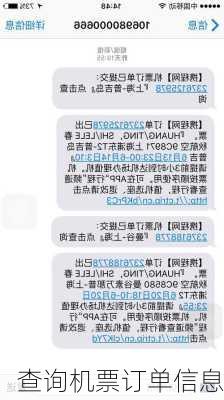 查询机票订单信息-第3张图片-欧景旅游网