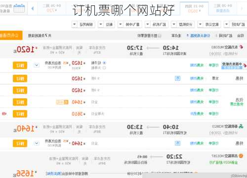 订机票哪个网站好-第2张图片-欧景旅游网