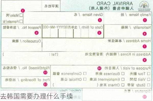 去韩国需要办理什么手续-第3张图片-欧景旅游网