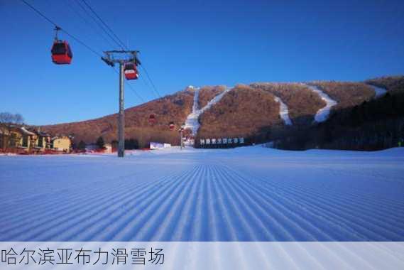 哈尔滨亚布力滑雪场-第3张图片-欧景旅游网