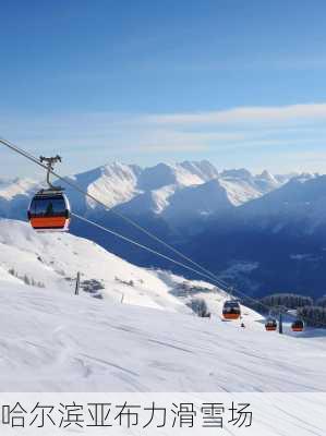 哈尔滨亚布力滑雪场-第2张图片-欧景旅游网