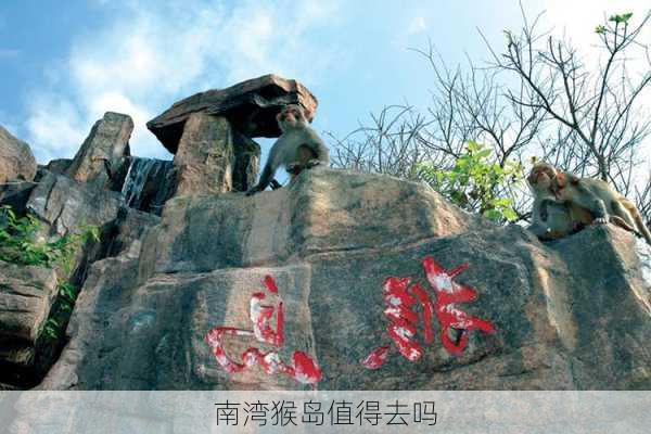 南湾猴岛值得去吗-第2张图片-欧景旅游网