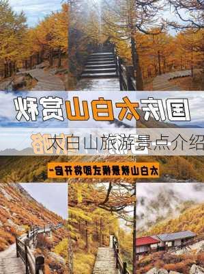 太白山旅游景点介绍-第3张图片-欧景旅游网