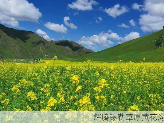 辉腾锡勒草原黄花沟-第1张图片-欧景旅游网