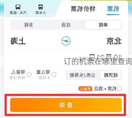 订的机票在哪里查询-第1张图片-欧景旅游网