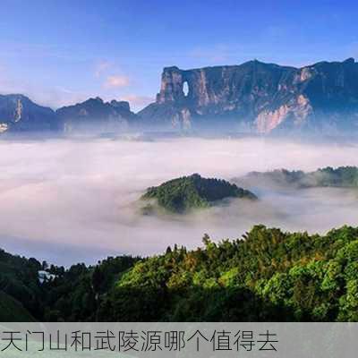 天门山和武陵源哪个值得去-第1张图片-欧景旅游网