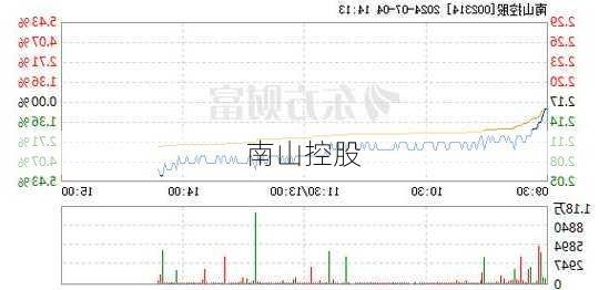 南山控股-第1张图片-欧景旅游网