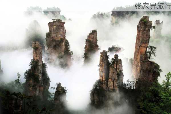 张家界旅行-第3张图片-欧景旅游网