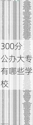 300分公办大专有哪些学校-第1张图片-欧景旅游网