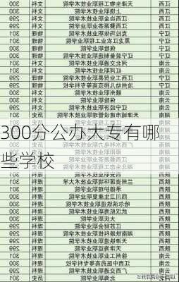 300分公办大专有哪些学校-第2张图片-欧景旅游网