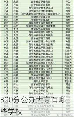 300分公办大专有哪些学校-第3张图片-欧景旅游网