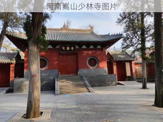 河南嵩山少林寺图片-第2张图片-欧景旅游网