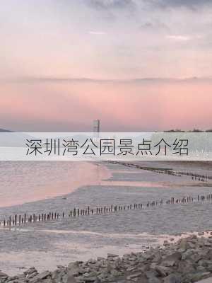 深圳湾公园景点介绍