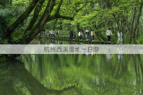 杭州西溪湿地一日游-第2张图片-欧景旅游网