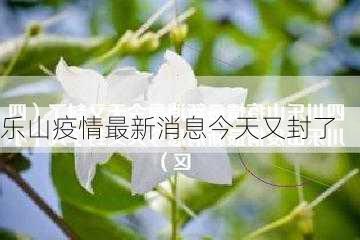 乐山疫情最新消息今天又封了-第3张图片-欧景旅游网