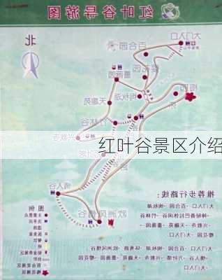 红叶谷景区介绍-第2张图片-欧景旅游网