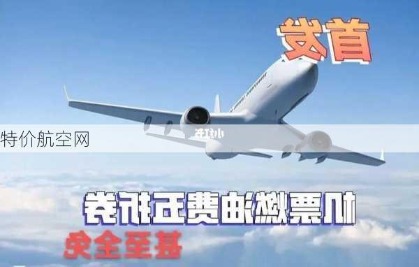 特价航空网-第2张图片-欧景旅游网