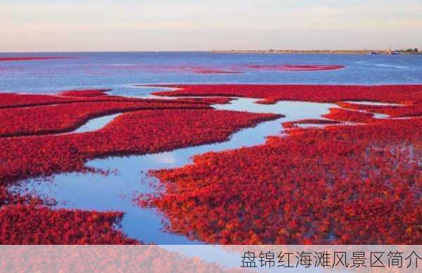 盘锦红海滩风景区简介-第3张图片-欧景旅游网