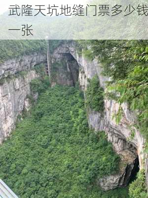 武隆天坑地缝门票多少钱一张-第2张图片-欧景旅游网