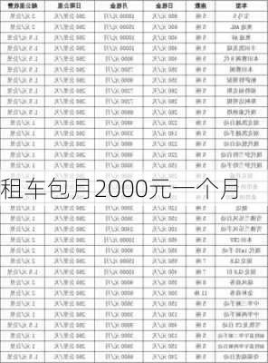 租车包月2000元一个月-第1张图片-欧景旅游网