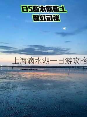 上海滴水湖一日游攻略-第3张图片-欧景旅游网