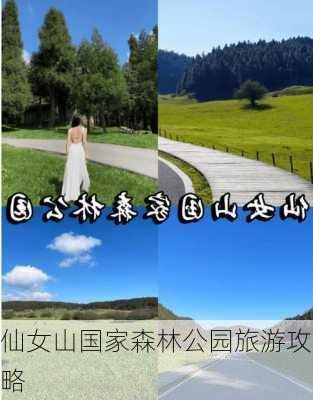 仙女山国家森林公园旅游攻略-第2张图片-欧景旅游网