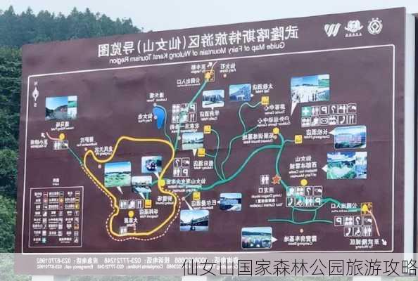 仙女山国家森林公园旅游攻略-第1张图片-欧景旅游网