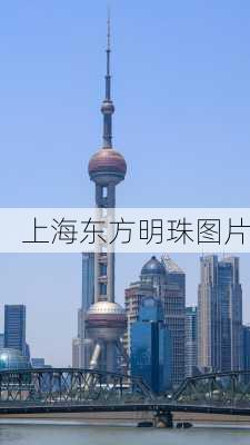 上海东方明珠图片-第1张图片-欧景旅游网