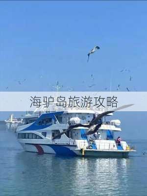 海驴岛旅游攻略-第3张图片-欧景旅游网