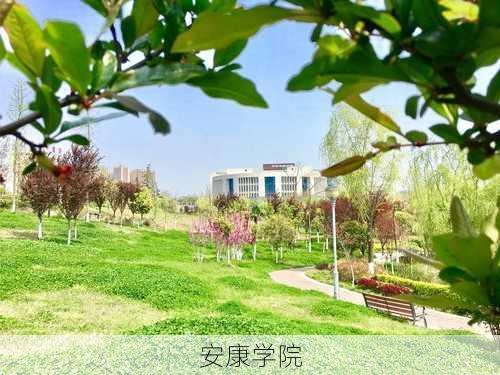 安康学院-第3张图片-欧景旅游网