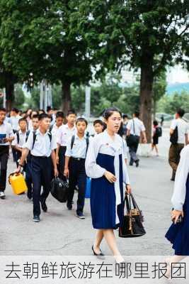 去朝鲜旅游在哪里报团-第2张图片-欧景旅游网