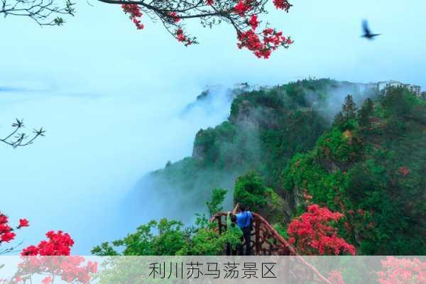 利川苏马荡景区